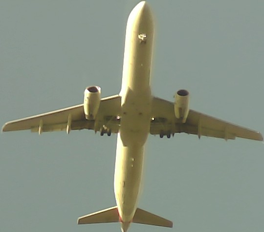 Airplane Picture