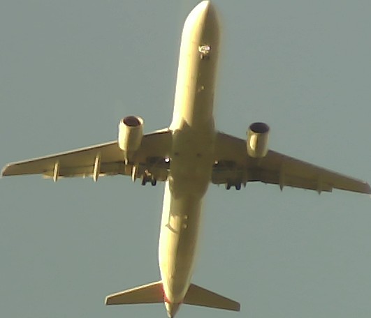 Airplane Picture