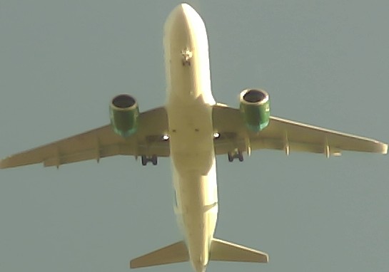 Airplane Picture