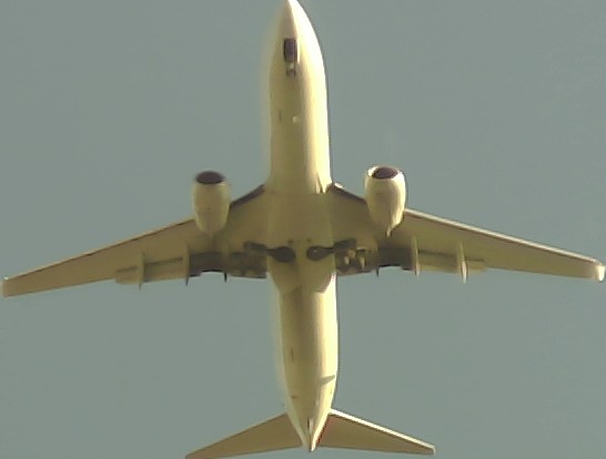 Airplane Picture