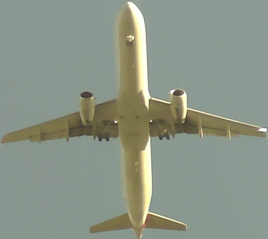 Airplane Picture