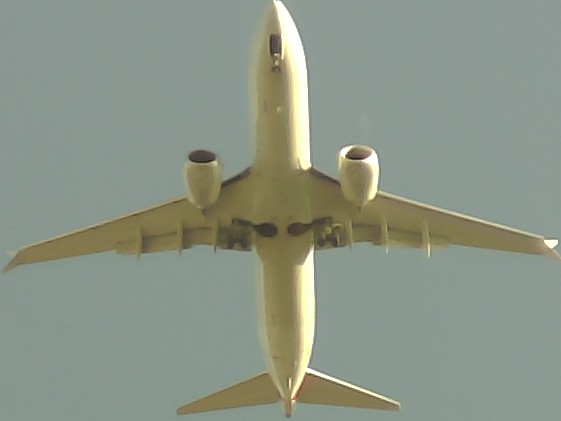 Airplane Picture