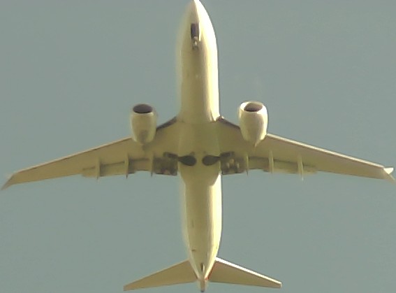 Airplane Picture