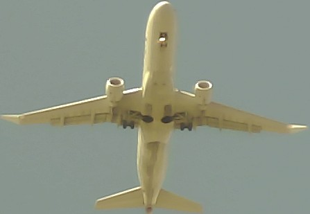 Airplane Picture