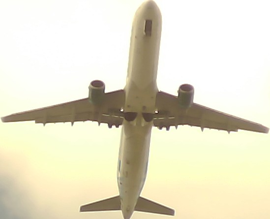 Airplane Picture