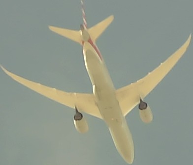 Airplane Picture