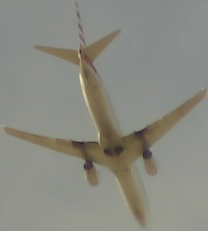 Airplane Picture