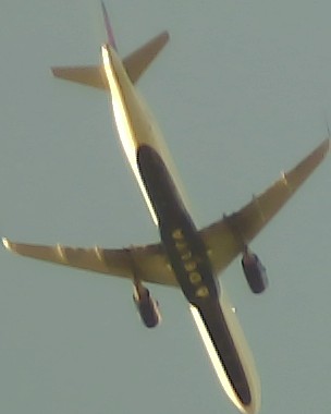 Airplane Picture
