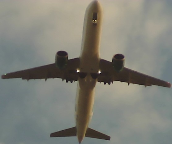 Airplane Picture