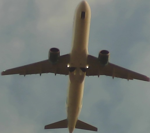 Airplane Picture