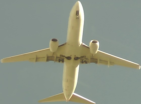 Airplane Picture
