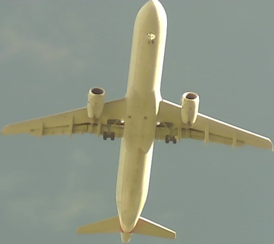 Airplane Picture