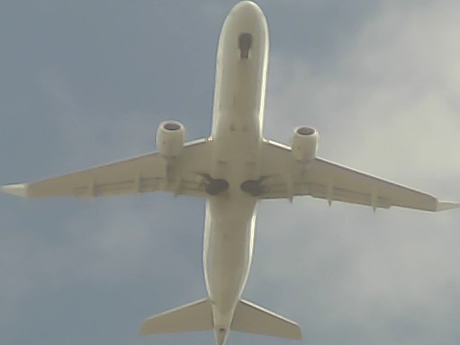 Airplane Picture