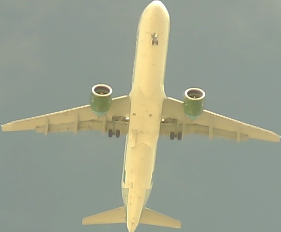 Airplane Picture