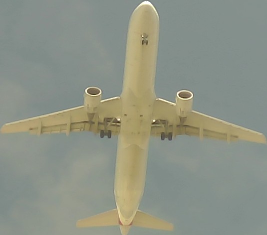 Airplane Picture