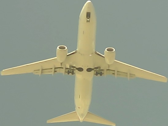 Airplane Picture