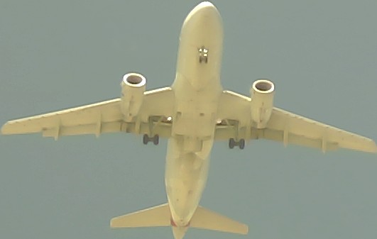 Airplane Picture