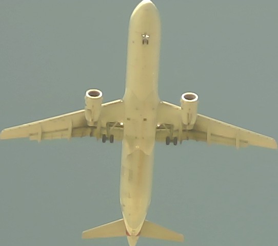 Airplane Picture