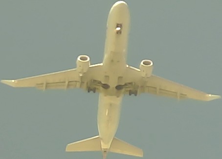 Airplane Picture