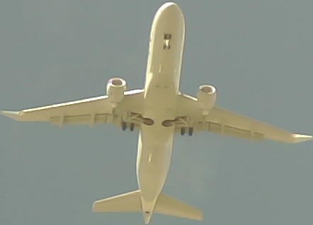 Airplane Picture