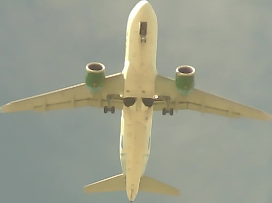 Airplane Picture