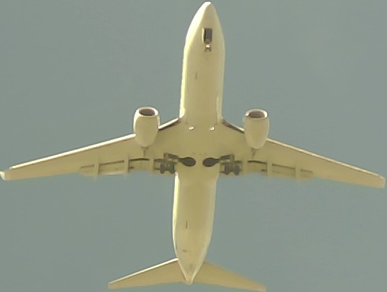 Airplane Picture