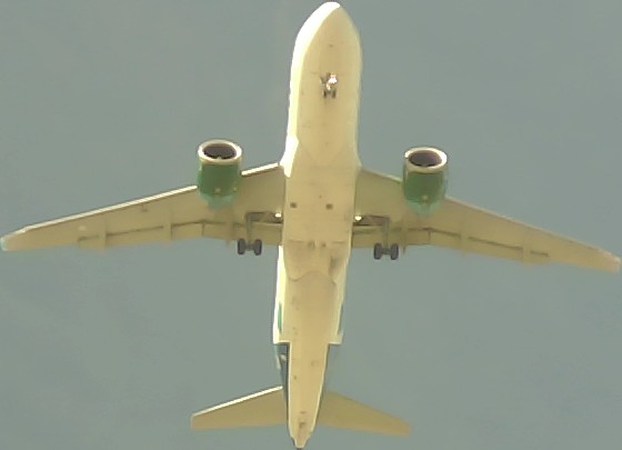 Airplane Picture