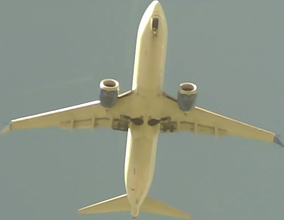 Airplane Picture