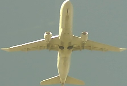 Airplane Picture