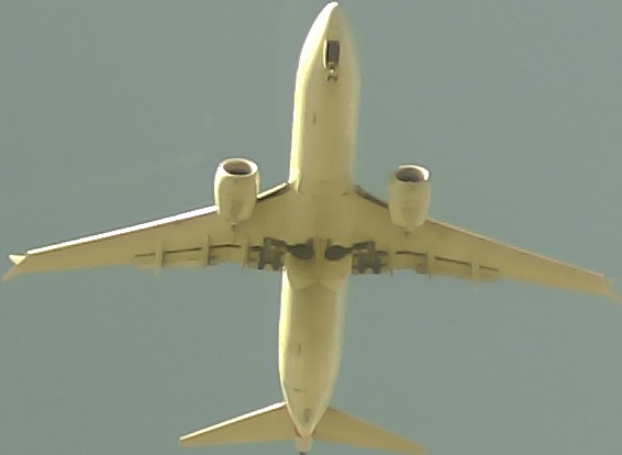 Airplane Picture