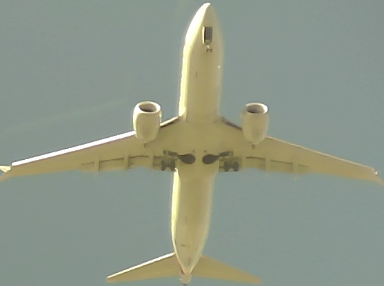 Airplane Picture