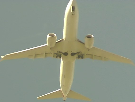 Airplane Picture
