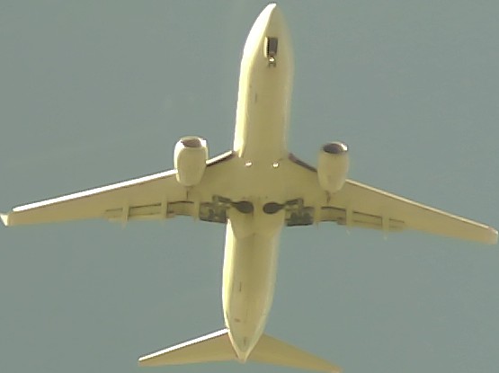 Airplane Picture
