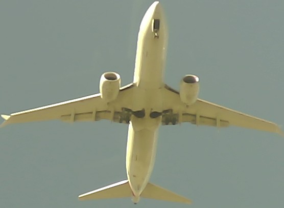 Airplane Picture