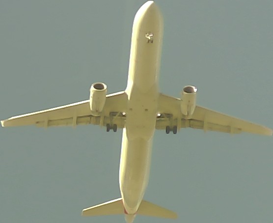 Airplane Picture