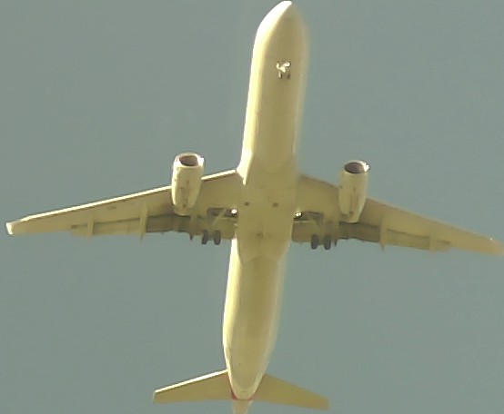Airplane Picture