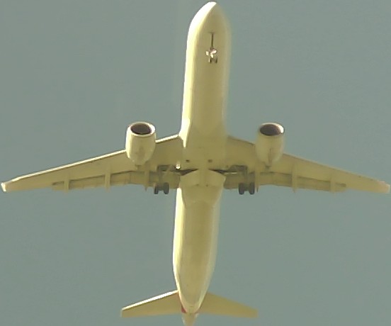 Airplane Picture