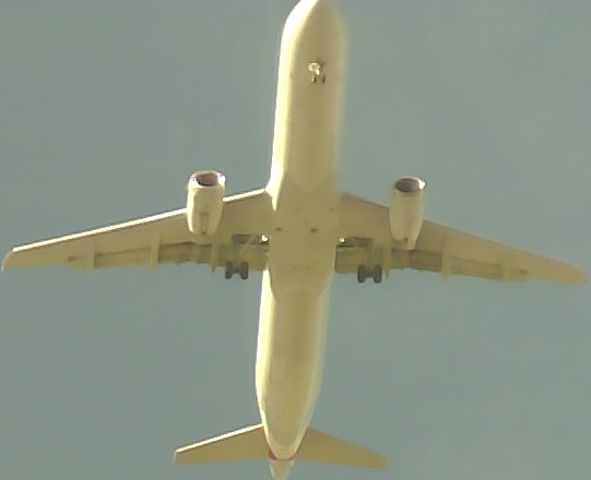 Airplane Picture