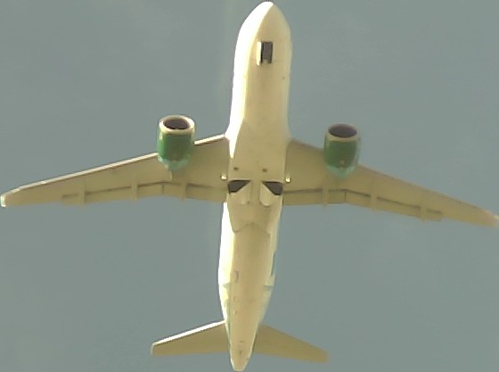 Airplane Picture
