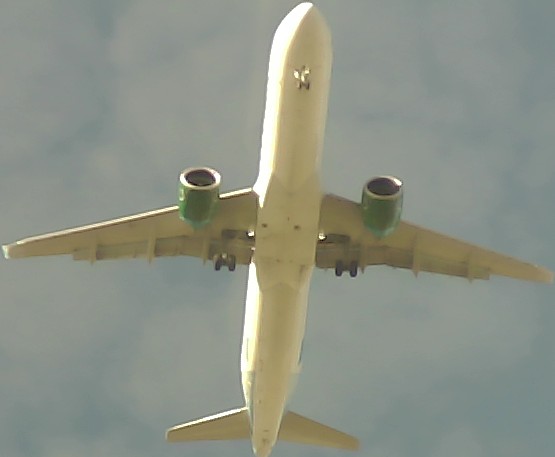 Airplane Picture