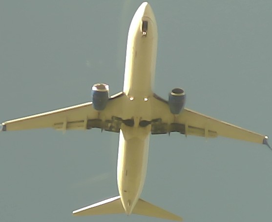 Airplane Picture