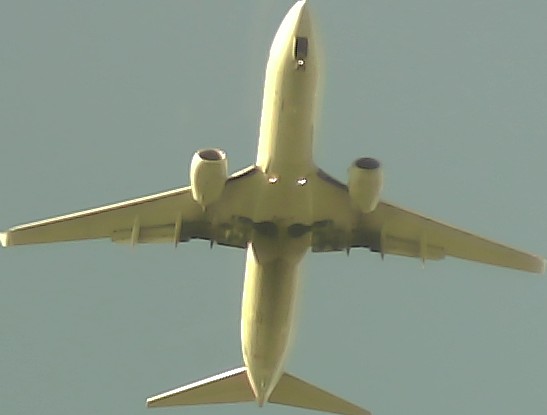 Airplane Picture