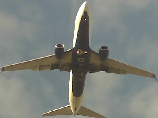 Airplane Picture