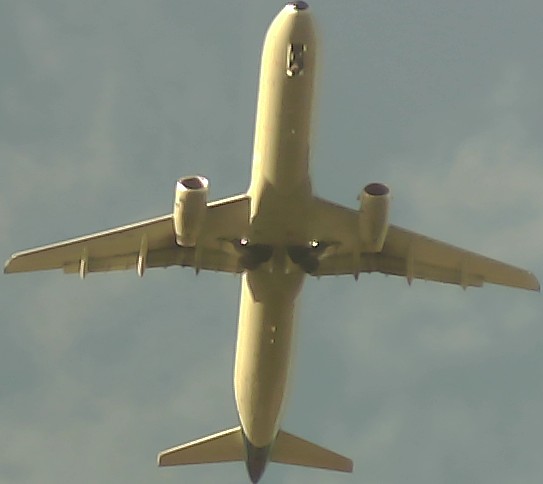 Airplane Picture