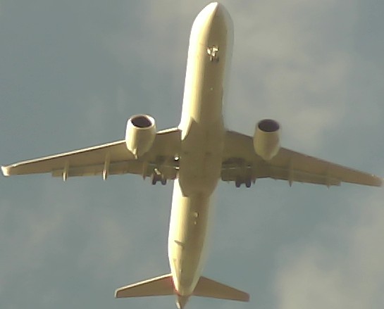 Airplane Picture