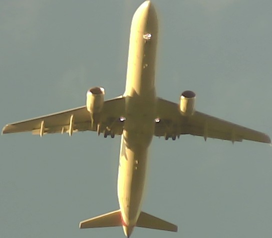 Airplane Picture