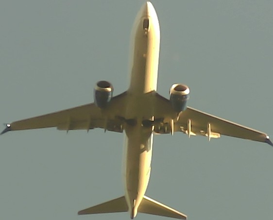 Airplane Picture
