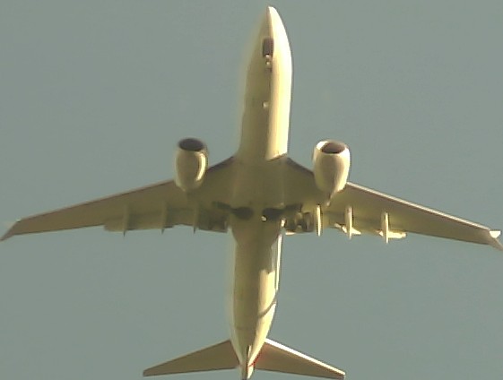 Airplane Picture