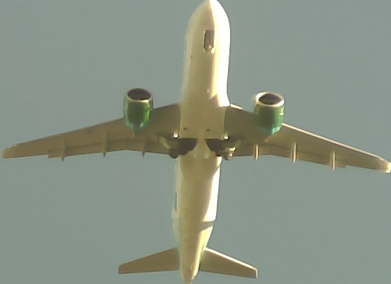 Airplane Picture