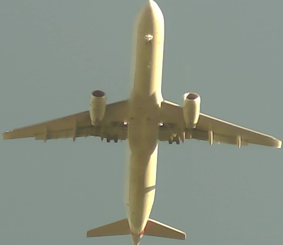 Airplane Picture